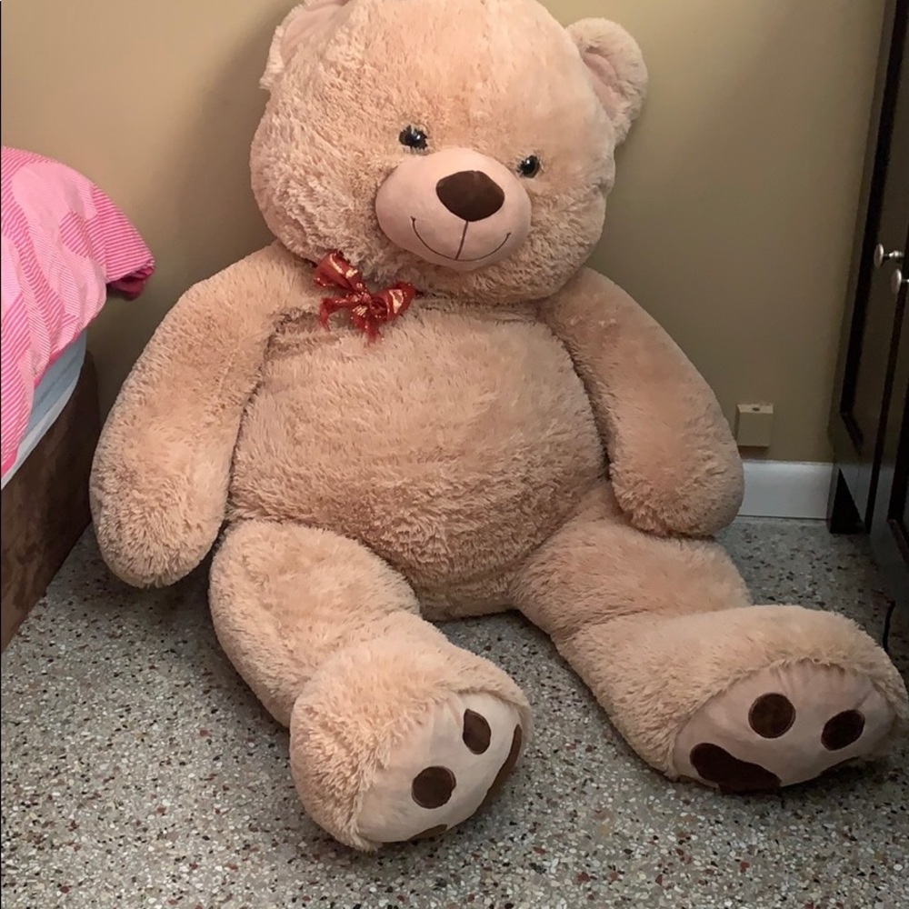 Teddy - Picture 2 of 2